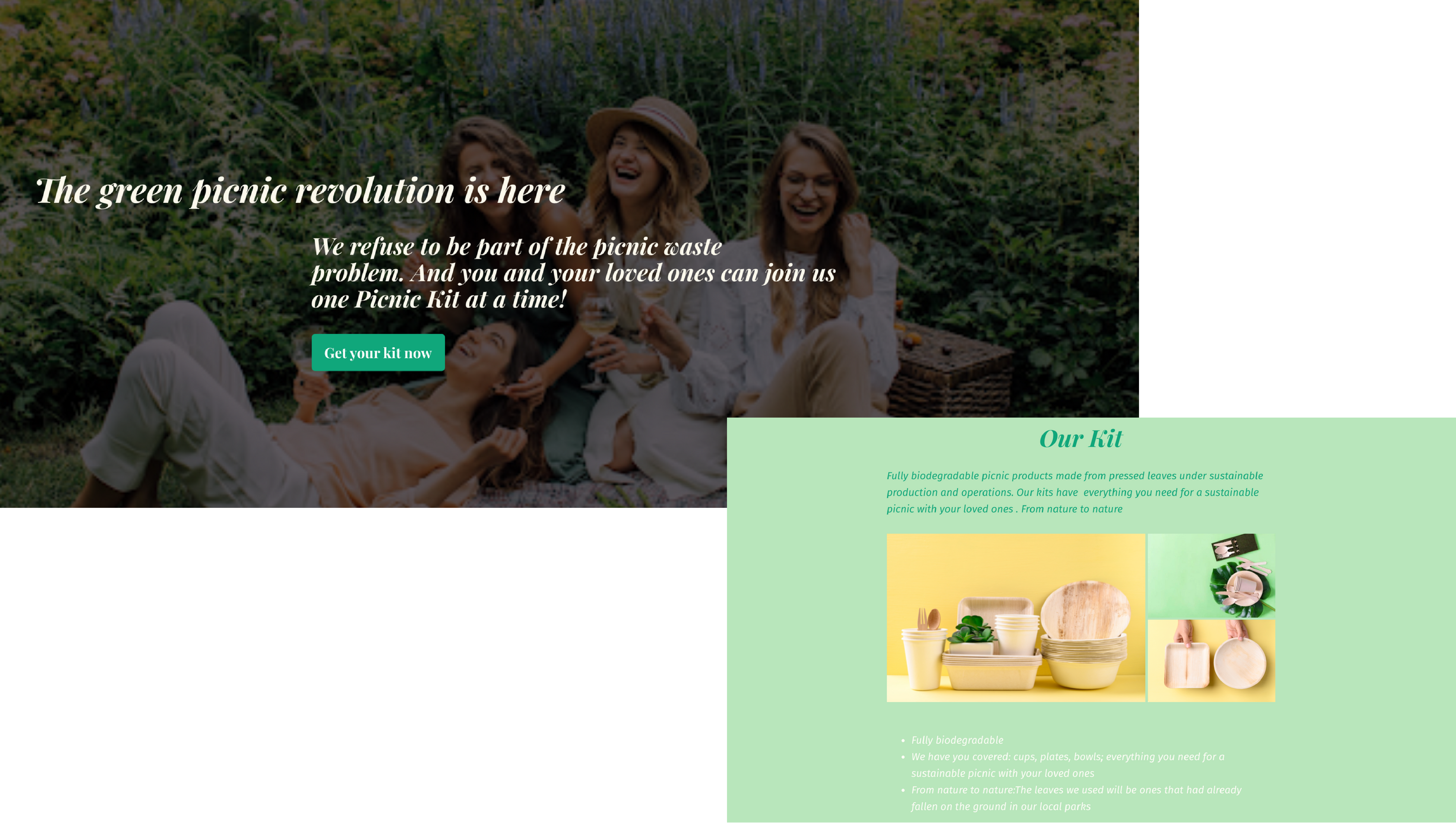 Adelina Ortega's Digital Marketing Portfolio Project