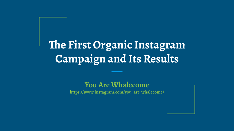 Chuning Li's Intro to Digital Marketing Portfolio Project