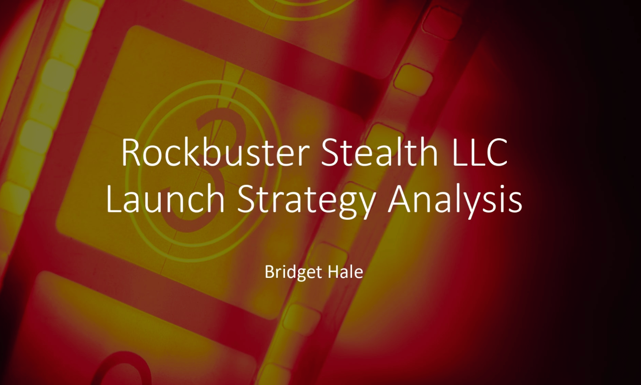 Bridget Hale's Portfolio Project